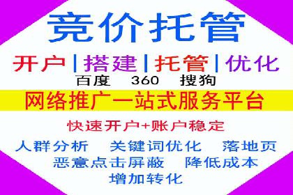 行业领先企业如何通过网络推广实现竞价增长